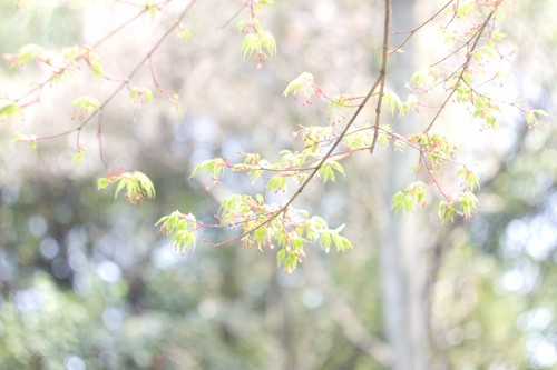 仙居公盂村旅游攻略（仙居公盂景区介绍）