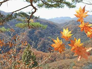 山西首富排行榜（山西首富排行榜2024年最新）